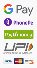 Payment Icons.jpg